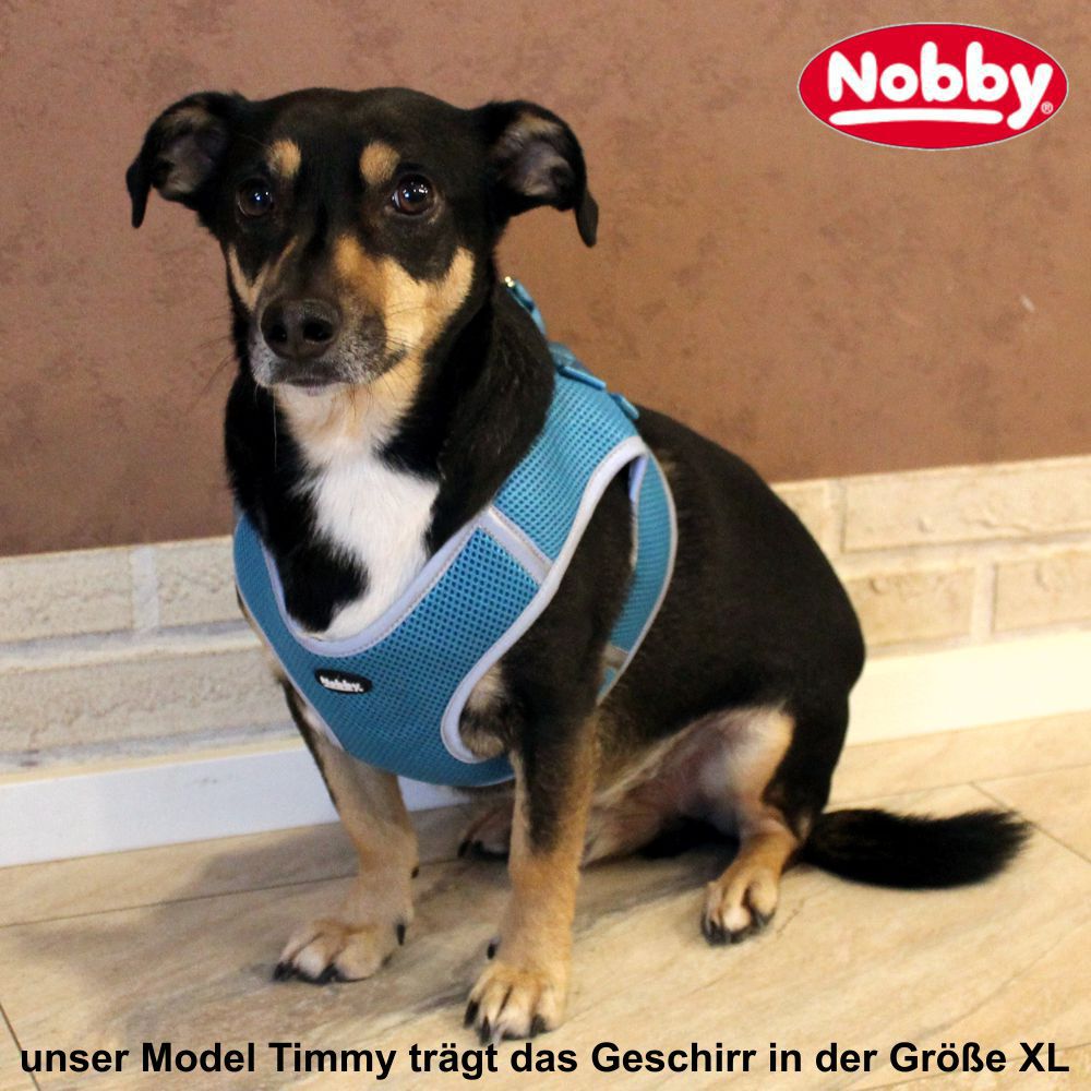 Nobby Komfortgeschirr DELIGHT - XXS bis XL - Nylon Meshgewebe Hundegeschirr