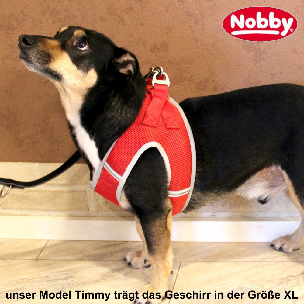 Nobby Komfortgeschirr DELIGHT - XXS bis XL - Nylon Meshgewebe Hundegeschirr