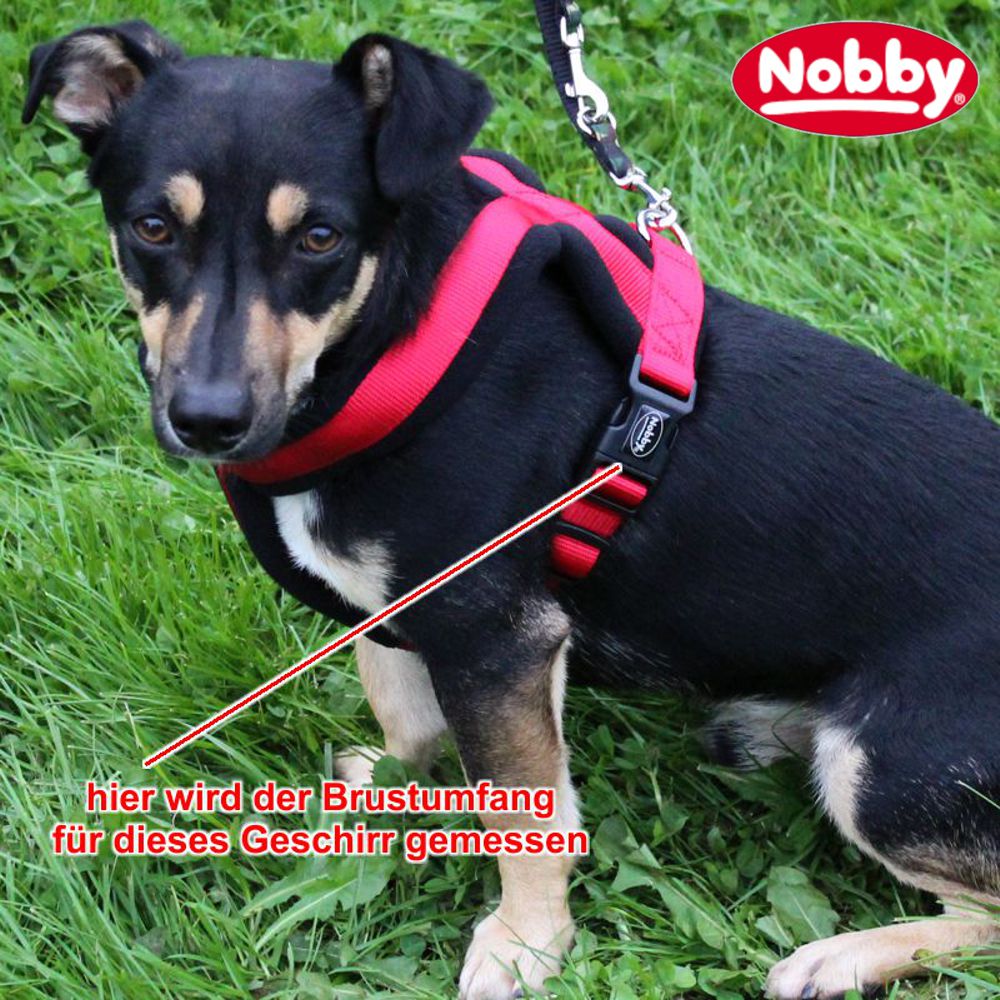 Nobby Geschirr CLASSIC COMFORT - Nylon-Fleece Hundegeschirr Komfortgeschirr