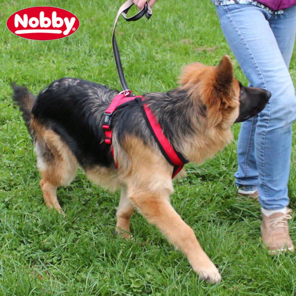 Nobby Geschirr CLASSIC COMFORT - Nylon-Fleece Hundegeschirr Komfortgeschirr