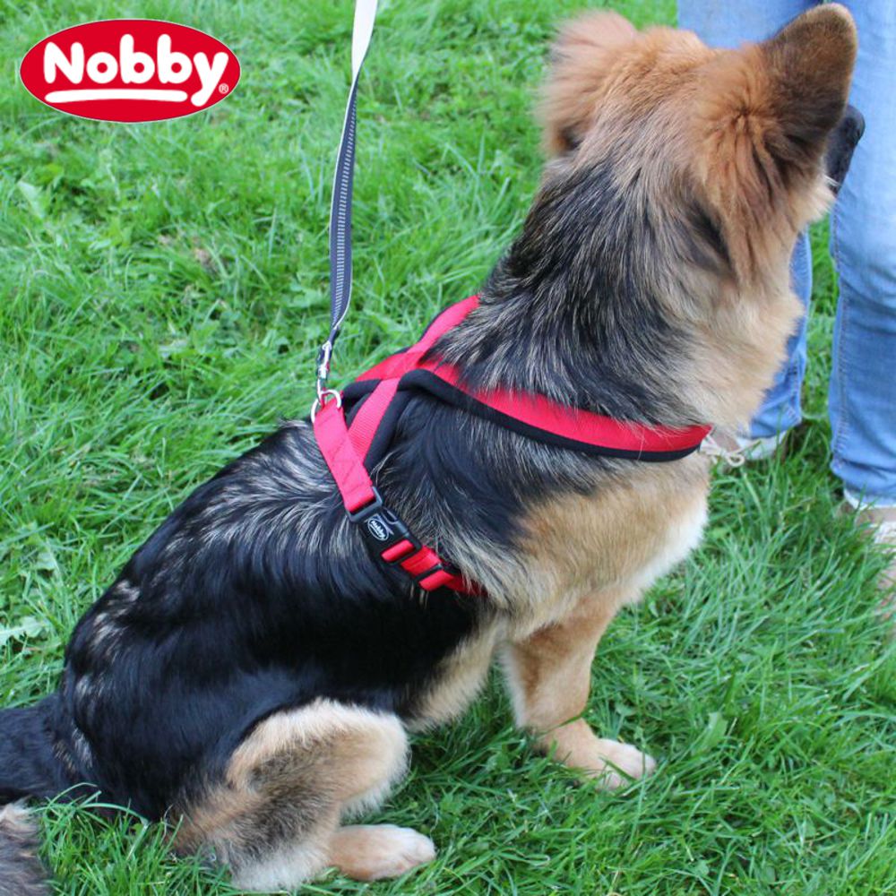 Nobby Geschirr CLASSIC COMFORT - Nylon-Fleece Hundegeschirr Komfortgeschirr