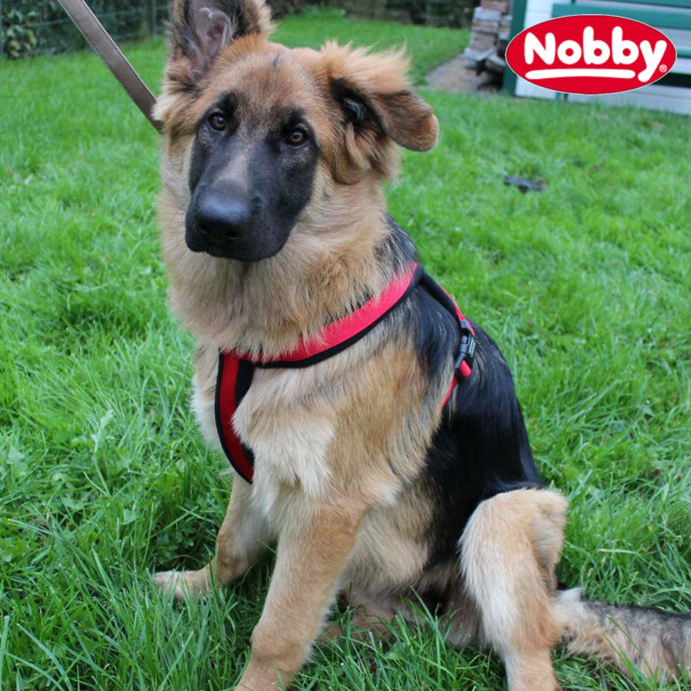 Nobby Geschirr CLASSIC COMFORT - Nylon-Fleece Hundegeschirr Komfortgeschirr