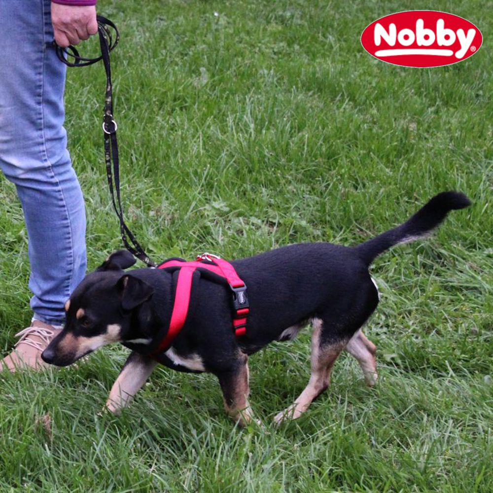 Nobby Geschirr CLASSIC COMFORT - Nylon-Fleece Hundegeschirr Komfortgeschirr