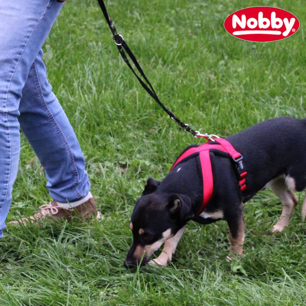 Nobby Geschirr CLASSIC COMFORT - Nylon-Fleece Hundegeschirr Komfortgeschirr