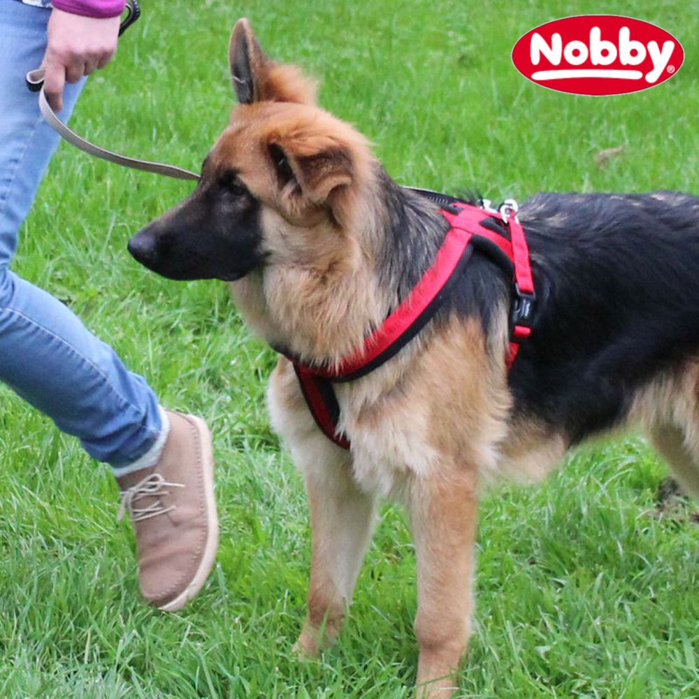 Nobby Geschirr SOFT GRIP COMFORT - Nylon-Fleece Hundegeschirr Komfortgeschirr