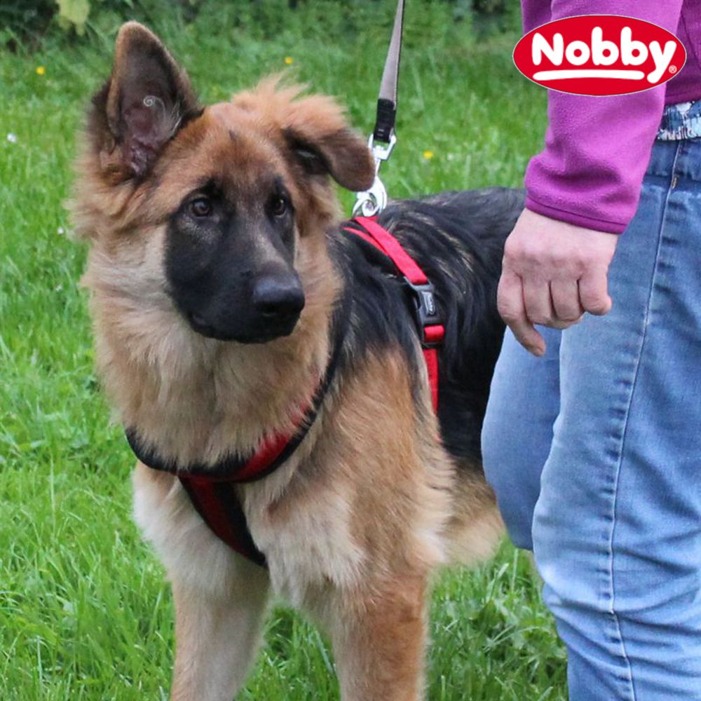 Nobby Geschirr SOFT GRIP COMFORT - Nylon-Fleece Hundegeschirr Komfortgeschirr