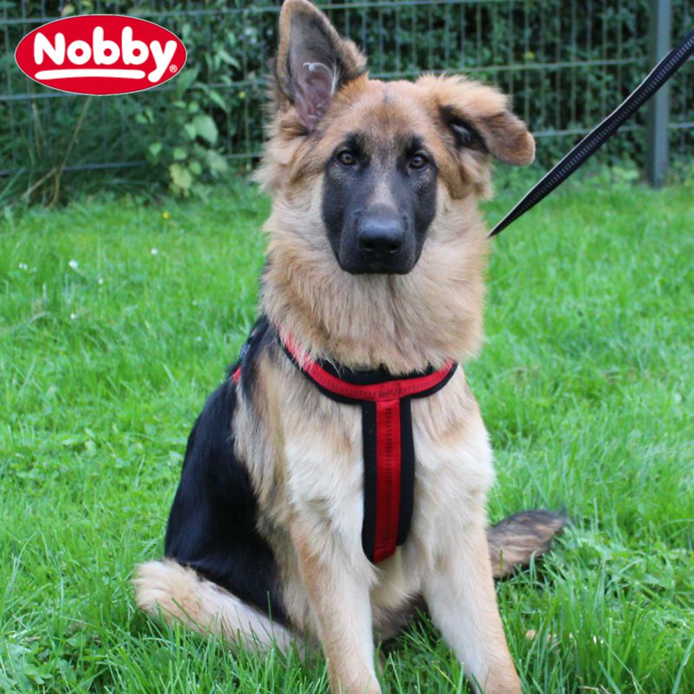 Nobby Geschirr SOFT GRIP COMFORT - Nylon-Fleece Hundegeschirr Komfortgeschirr
