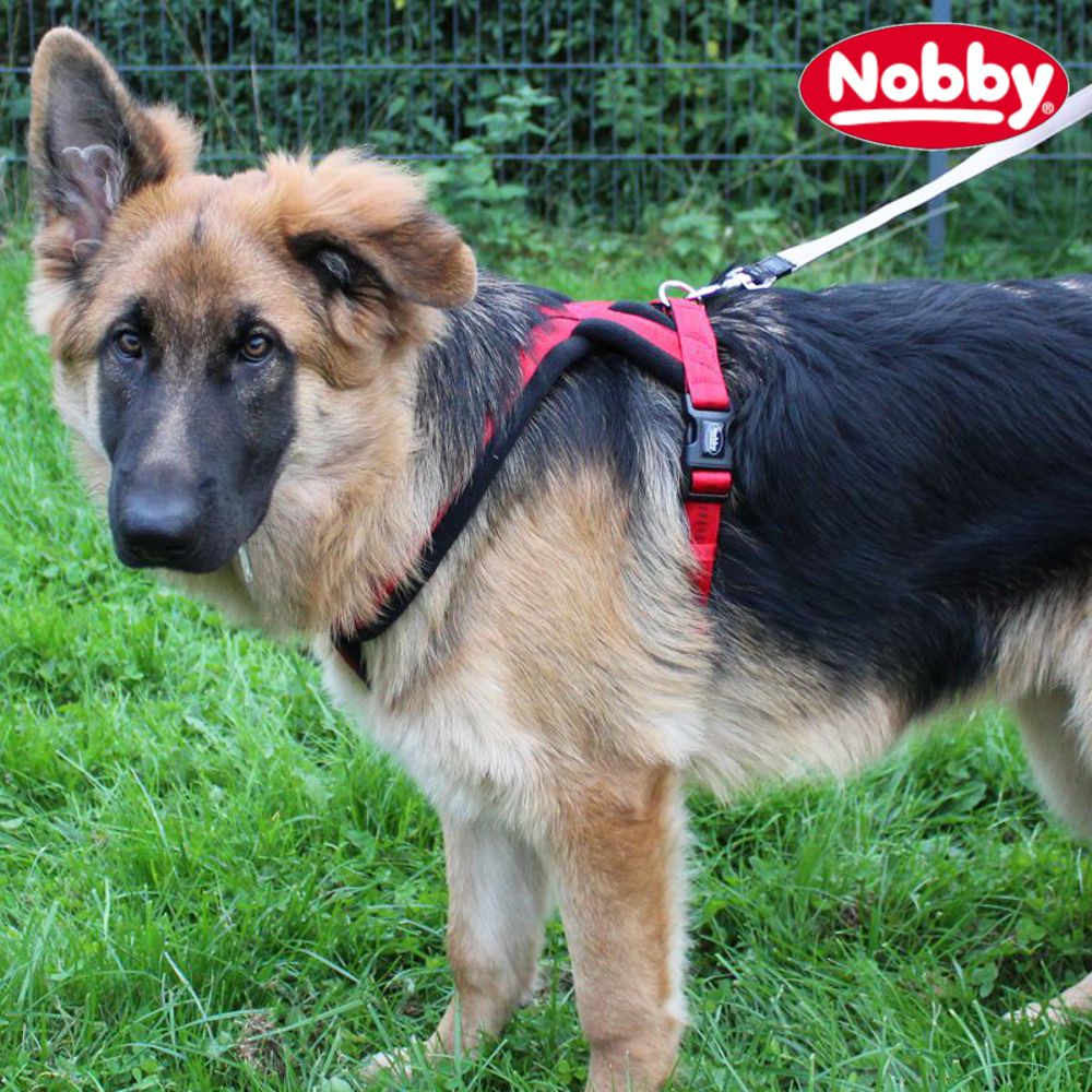 Nobby Geschirr SOFT GRIP COMFORT - Nylon-Fleece Hundegeschirr Komfortgeschirr