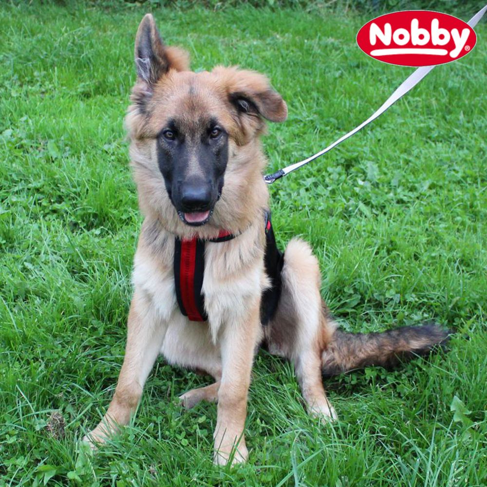 Nobby Geschirr SOFT GRIP COMFORT - Nylon-Fleece Hundegeschirr Komfortgeschirr