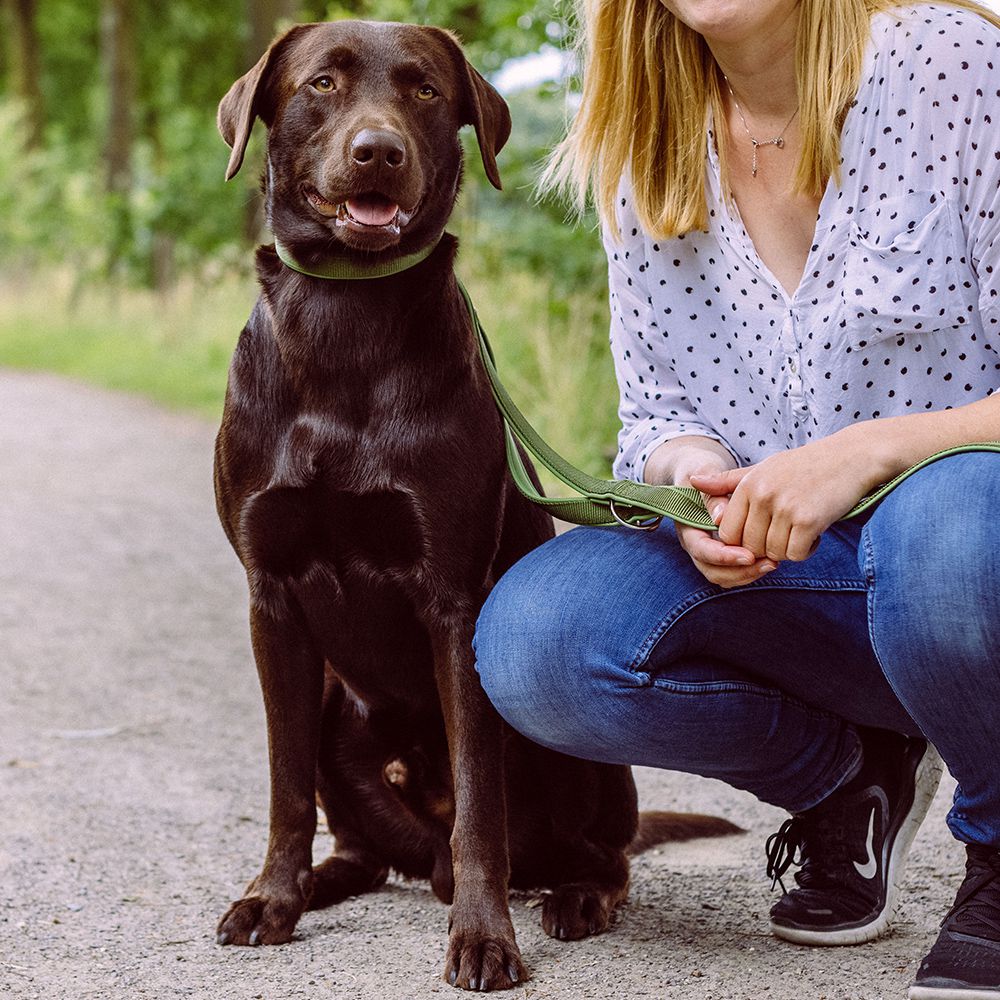 Nobby Führleine CLASSIC PRENO 200 cm - 15/20/25 mm breit - Nylon Hundeleine 2 m