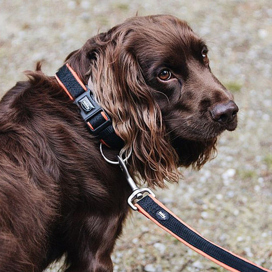 Nobby Halsband MESH PRENO - XS/XS-S/S-M/M-L/L-XL - Nylon Hundehalsband