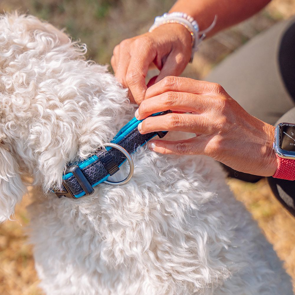 Nobby Halsband MESH PRENO XS/XS-S/S-M/M-L/L-XL alle Farben - Nylon Hundehalsband