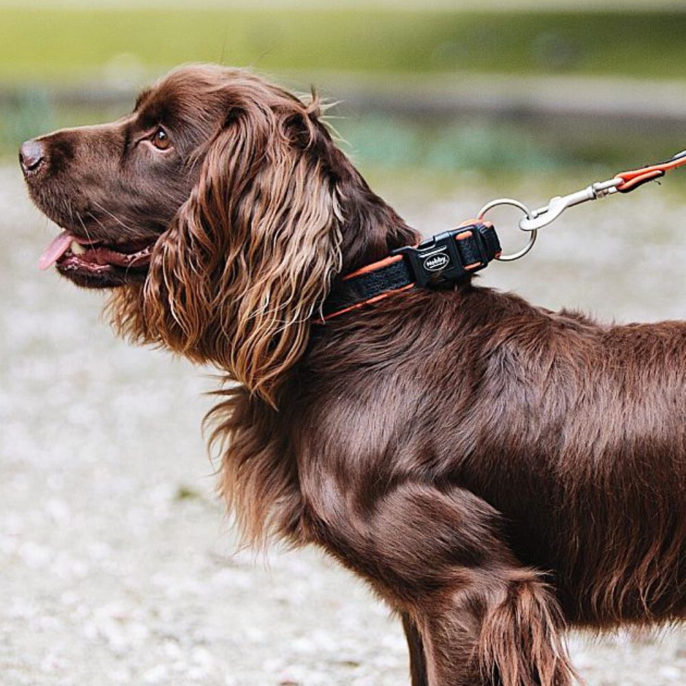 Nobby Halsband MESH PRENO XS/XS-S/S-M/M-L/L-XL alle Farben - Nylon Hundehalsband