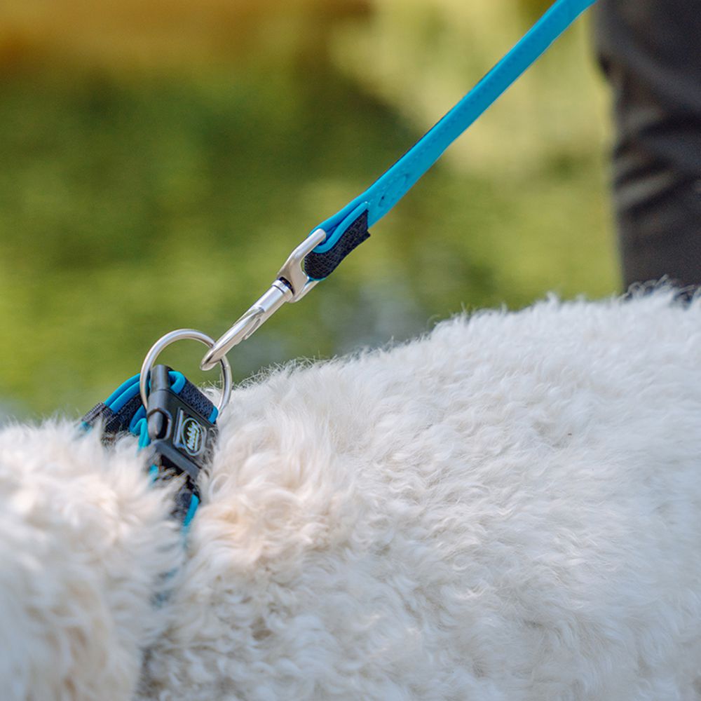 Nobby Halsband MESH PRENO XS/XS-S/S-M/M-L/L-XL alle Farben - Nylon Hundehalsband