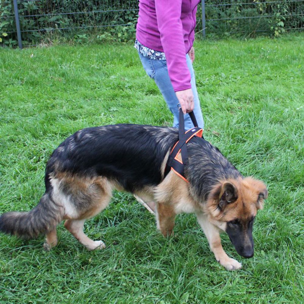 Nobby Norwegergeschirr MESH PRENO - S/M/L/XL - Nylon Geschirr Hundegeschirr