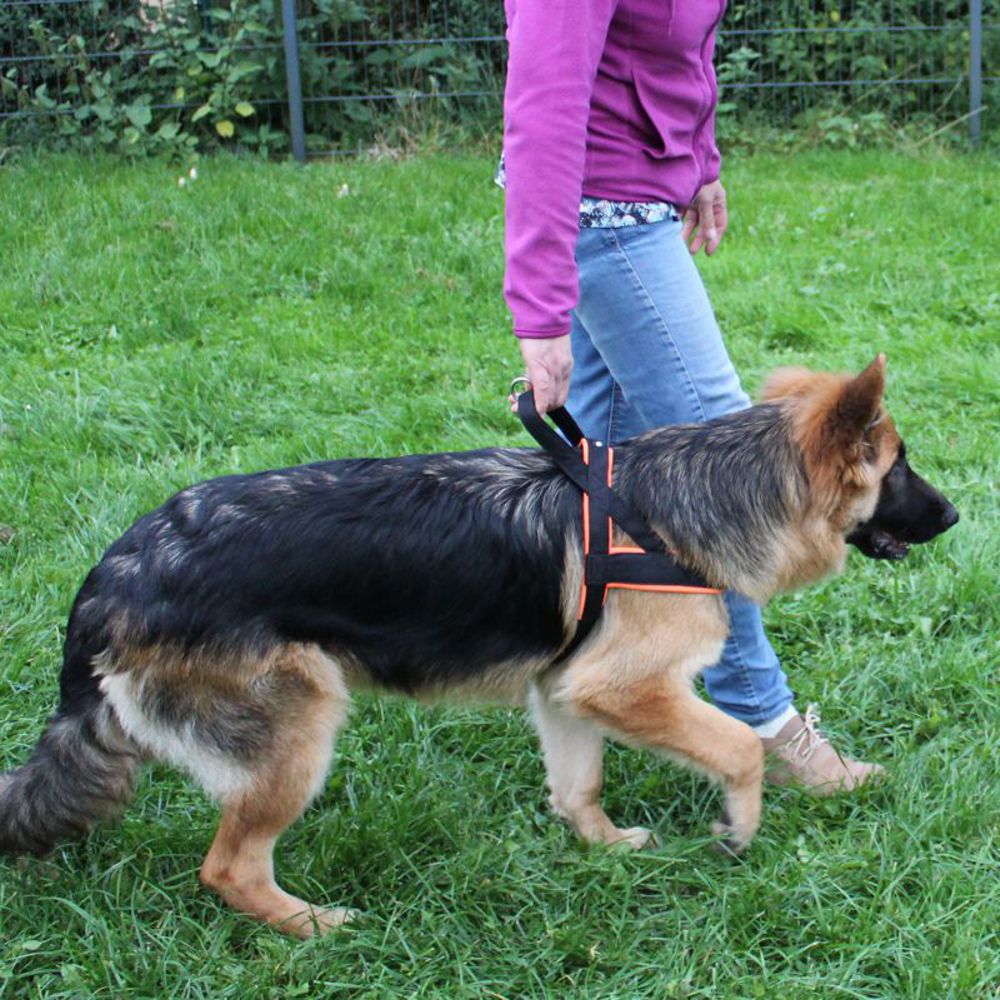 Nobby Norwegergeschirr MESH PRENO - S/M/L/XL - Nylon Geschirr Hundegeschirr