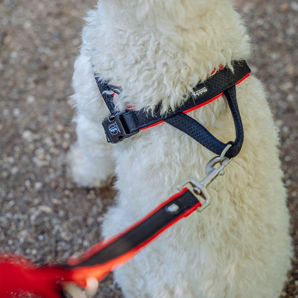 Nobby Norwegergeschirr MESH PRENO - S/M/L/XL - Nylon Geschirr Hundegeschirr