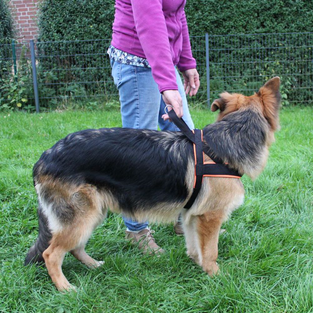 Nobby Norwegergeschirr MESH PRENO - S/M/L/XL - Nylon Geschirr Hundegeschirr