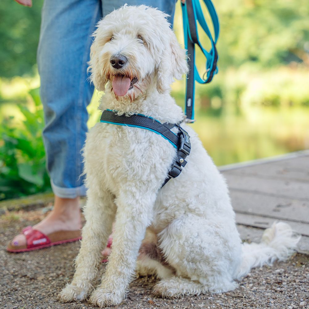 Nobby Norwegergeschirr MESH PRENO - S/M/L/XL - Nylon Geschirr Hundegeschirr