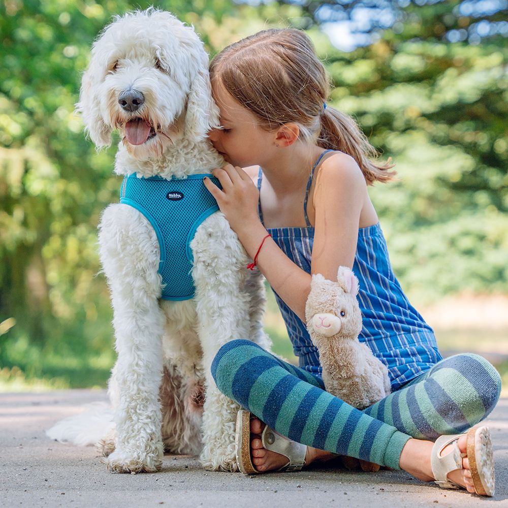 Nobby Geschirr MESH REFLECT - XXS/XS/S/M/L/XL - Nylon Meshgewebe Hundegeschirr