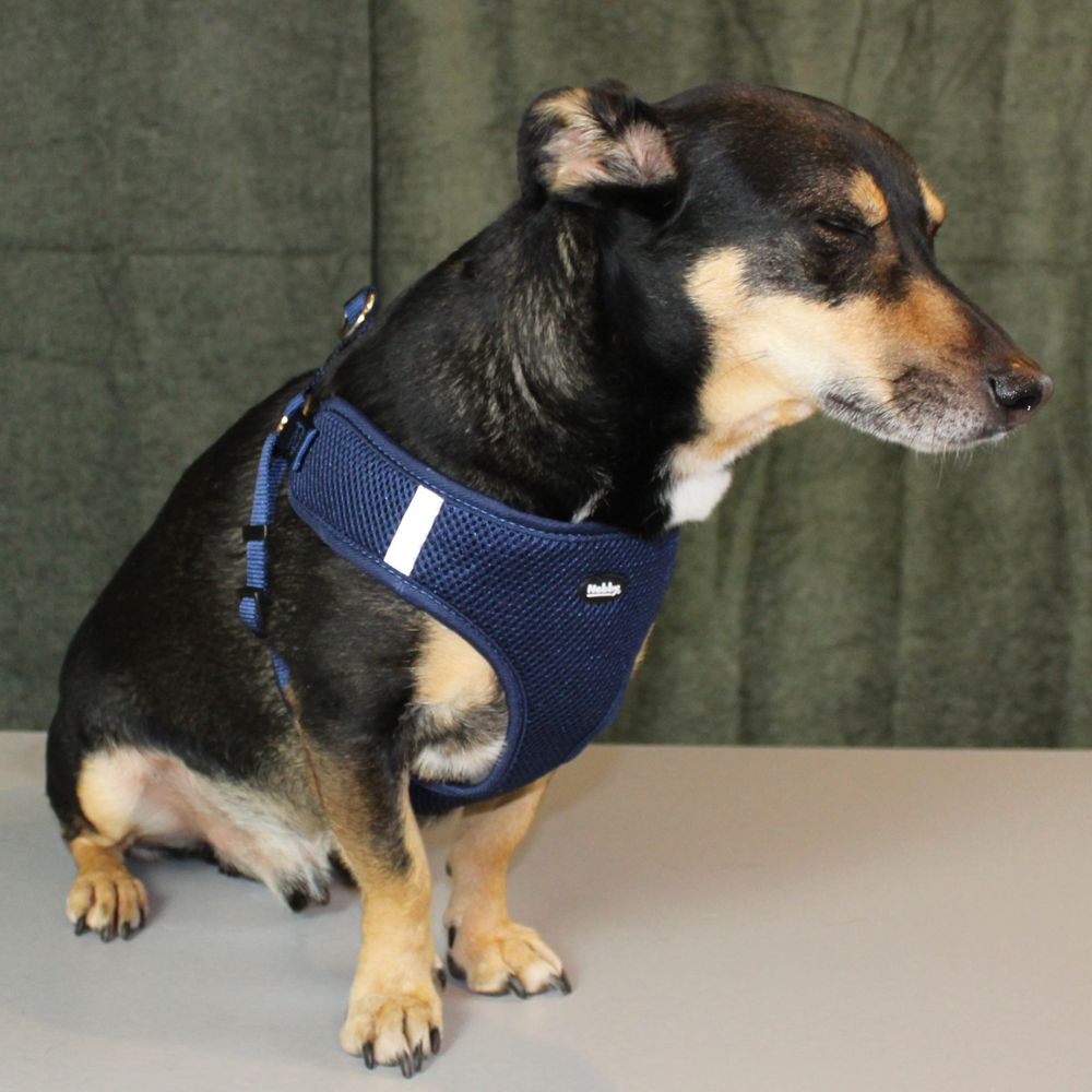 Nobby Geschirr MESH REFLECT - XXS/XS/S/M/L/XL - Nylon Meshgewebe Hundegeschirr