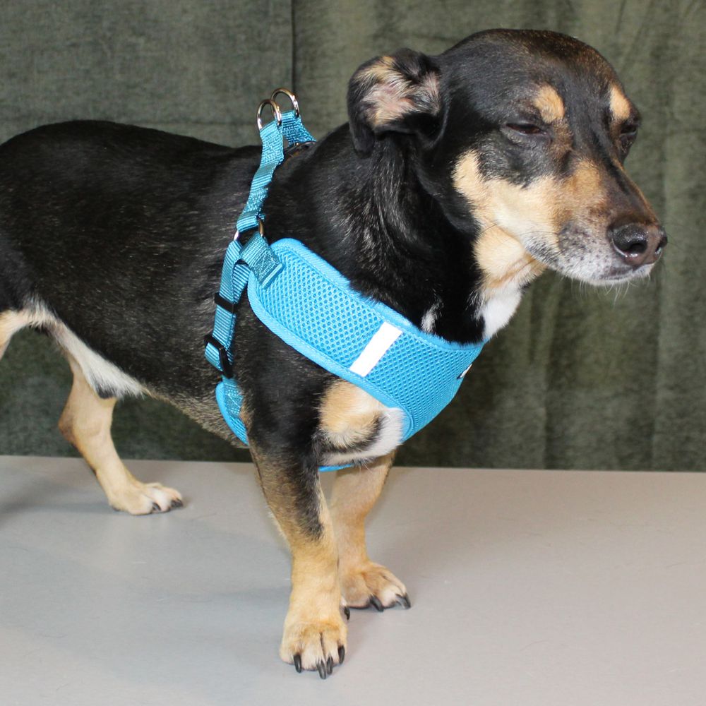 Nobby Geschirr MESH REFLECT - XXS/XS/S/M/L/XL - Nylon Meshgewebe Hundegeschirr