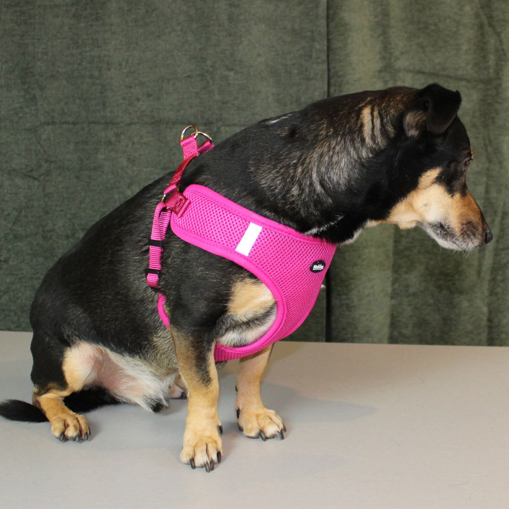 Nobby Geschirr MESH REFLECT - XXS/XS/S/M/L/XL - Nylon Meshgewebe Hundegeschirr