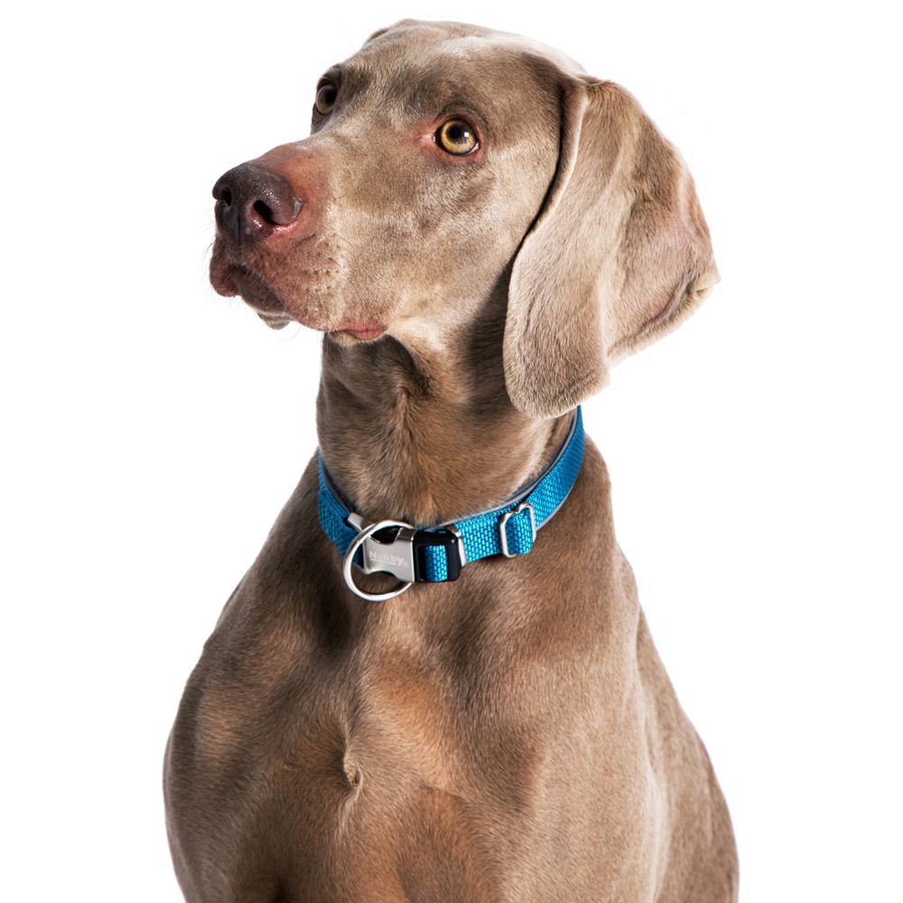 Nobby Halsband CLASSIC PRENO ROYAL - XS/XS-S/S-M/M-L/L-XL - Nylon Hundehalsband