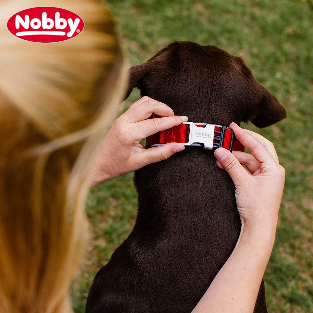 Nobby Halsband CLASSIC PRENO ROYAL - XS/XS-S/S-M/M-L/L-XL - Nylon Hundehalsband