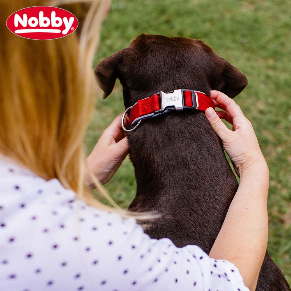 Nobby Halsband CLASSIC PRENO ROYAL - XS/XS-S/S-M/M-L/L-XL - Nylon Hundehalsband