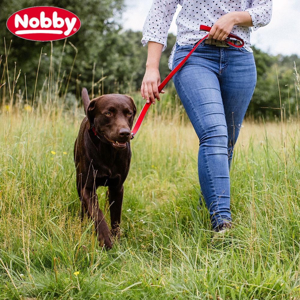 Nobby Leine CLASSIC PRENO ROYAL 120 cm lang - 15/20/25 mm breit Nylon Hundeleine