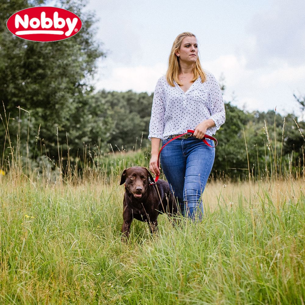 Nobby Leine CLASSIC PRENO ROYAL 120 cm lang - 15/20/25 mm breit Nylon Hundeleine