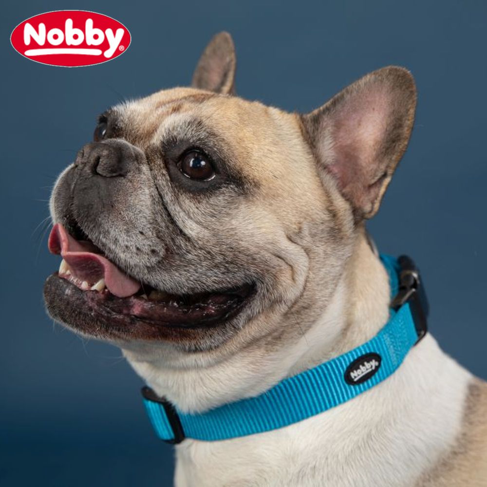Nobby Halsband CLASSIC COMFORT - XS-S/S-M/M-L - alle Farben Nylon Hundehalsband