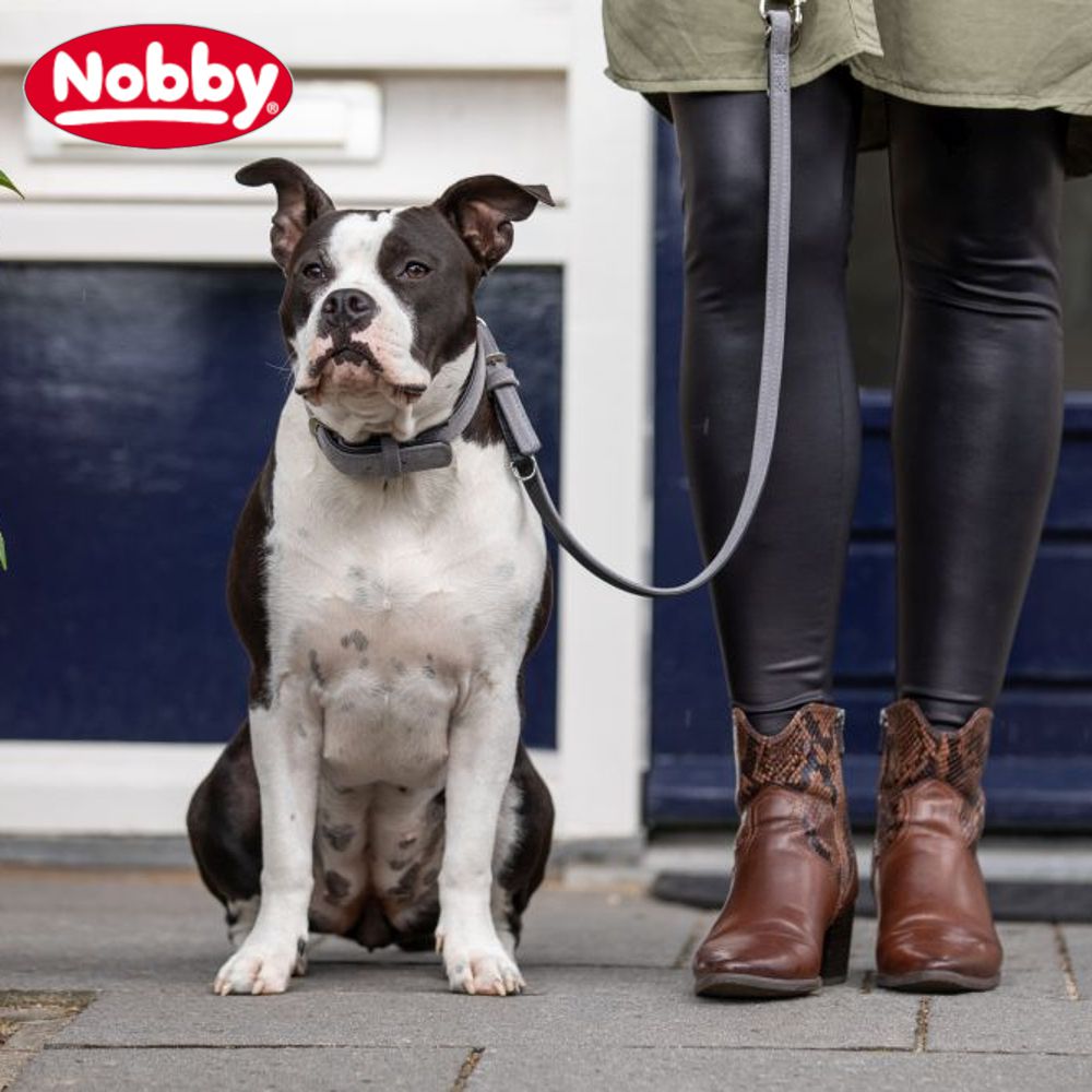 Nobby Leder Halsband VELOURS 26 - 61 cm lang - Nappaleder Hundehalsband Hund