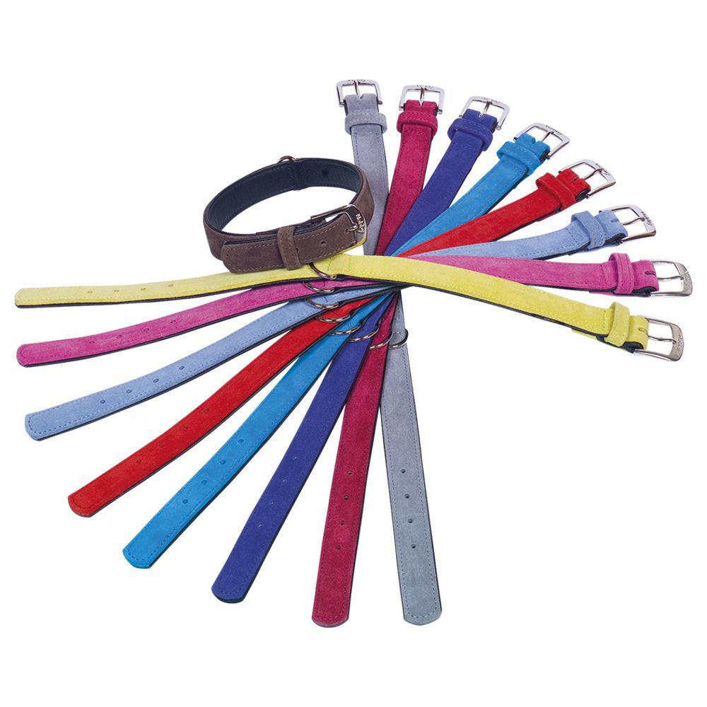 Nobby Leder Halsband VELOURS 26 - 61 cm lang - Nappaleder Hundehalsband Hund