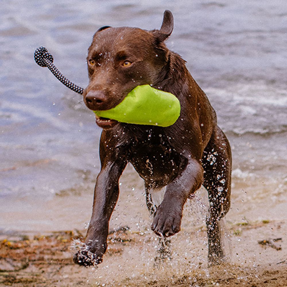 Nobby Trainingsdummy RIO Snackdummy Futterdummy Apportierdummy Preydummy Dummie