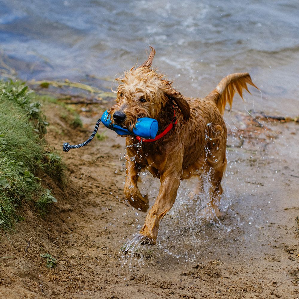 Nobby Trainingsdummy RIO Snackdummy Futterdummy Apportierdummy Preydummy Dummie