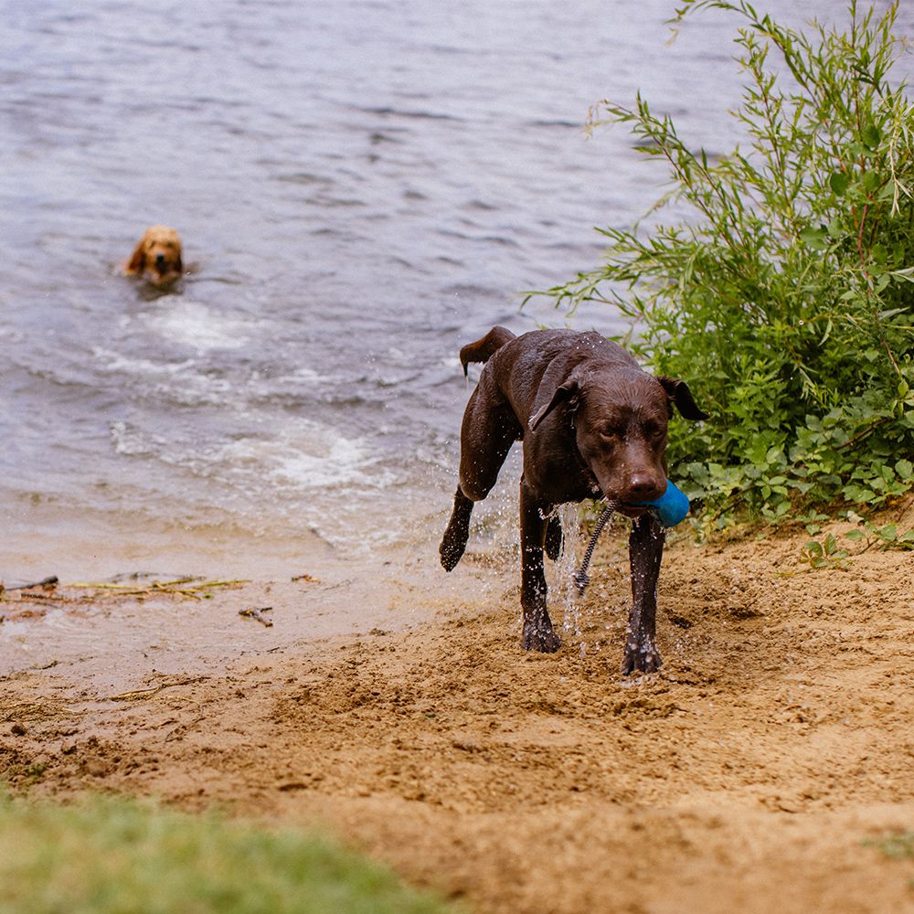 Nobby Trainingsdummy RIO Snackdummy Futterdummy Apportierdummy Preydummy Dummie