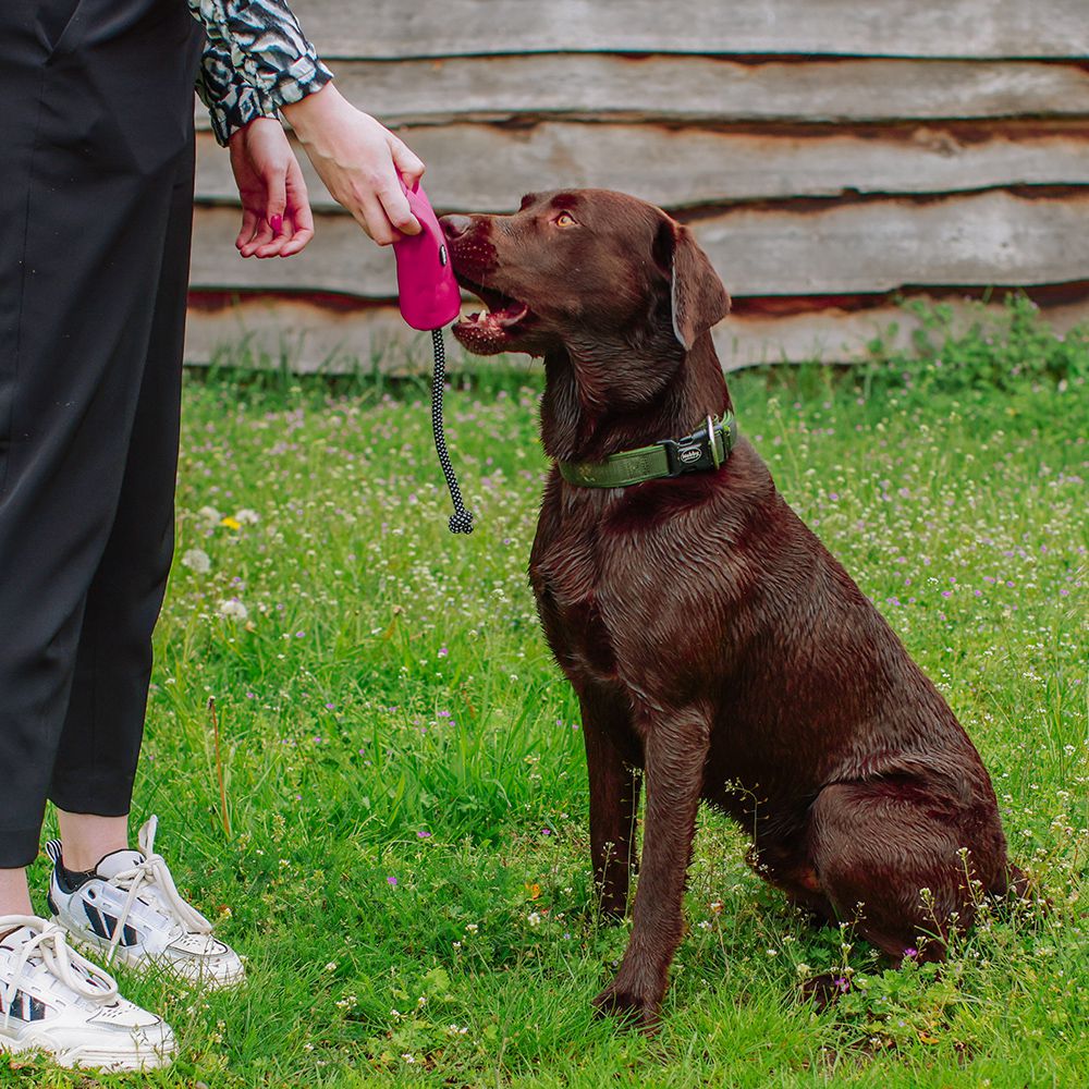 Nobby Trainingsdummy RIO Snackdummy Futterdummy Apportierdummy Preydummy Dummie