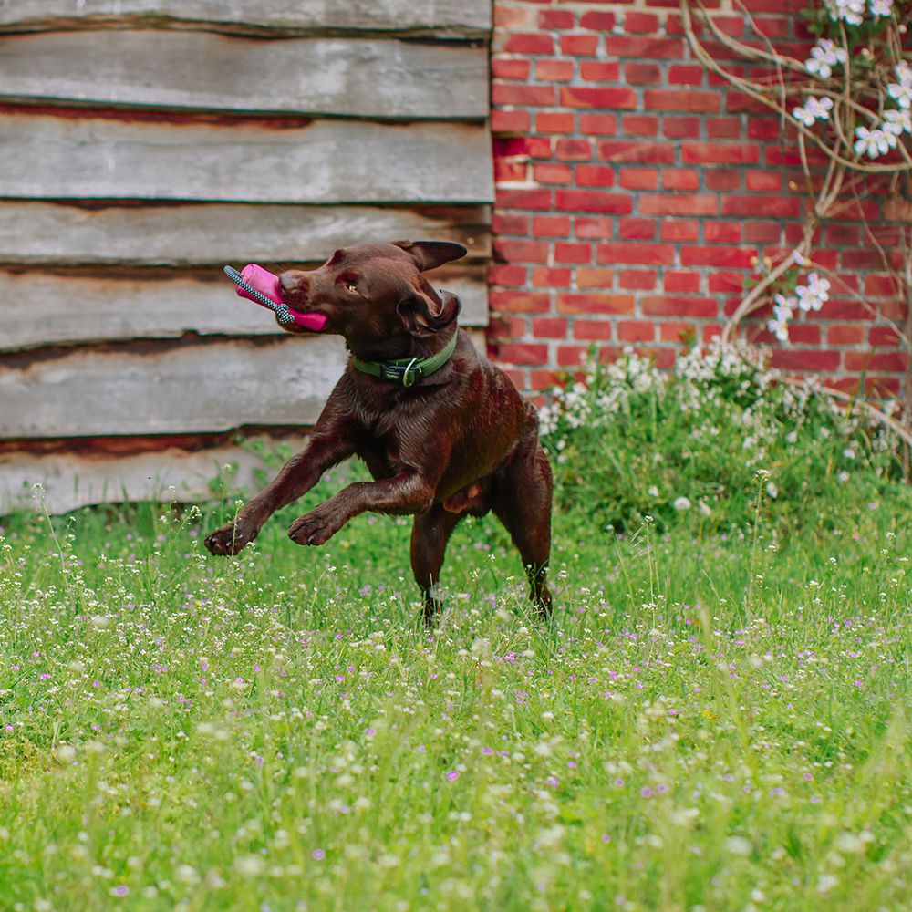 Nobby Trainingsdummy RIO Snackdummy Futterdummy Apportierdummy Preydummy Dummie