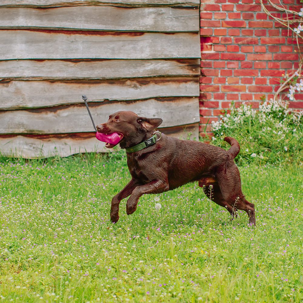 Nobby Trainingsdummy RIO Snackdummy Futterdummy Apportierdummy Preydummy Dummie