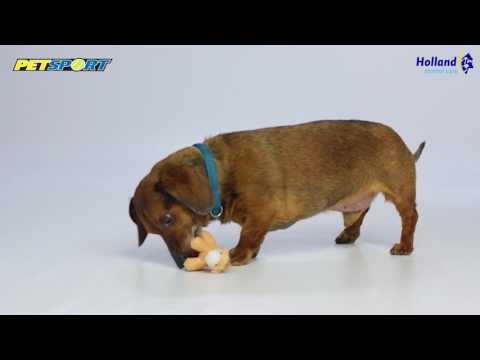 PetSport Plüsch Hundespielzeug - Welpen Spielzeug - Kuscheltier mit Quitschie