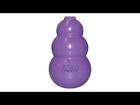 KONG Cat - Kitty Kong - Katzenspielzeug - Classic für Katzen - 5,5 cm groß