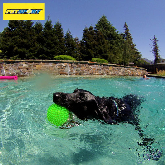 PetSport Gorilla Ball Hundespiel Apportierspiel Spielzeug TPR Igelball Gummiball