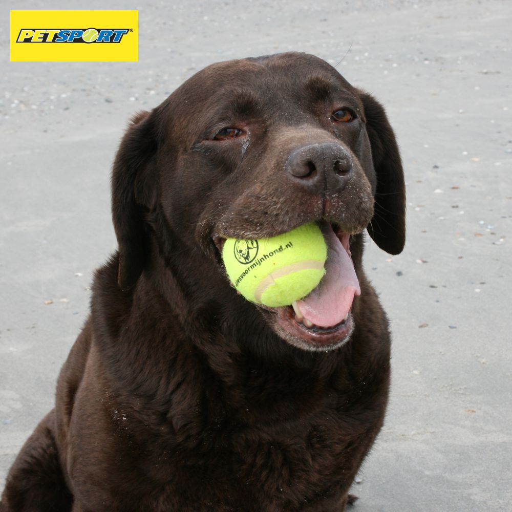 PetSport Tennisball TUFF BALL - XS/S/M/L/XL - Apportierspielzeug Hundeball