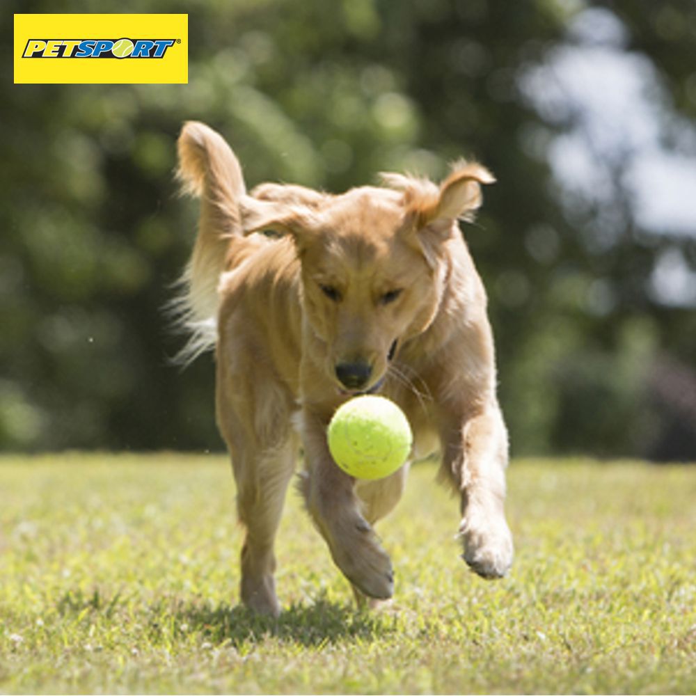 PetSport Tennisball TUFF BALL - XS/S/M/L/XL - Apportierspielzeug Hundeball