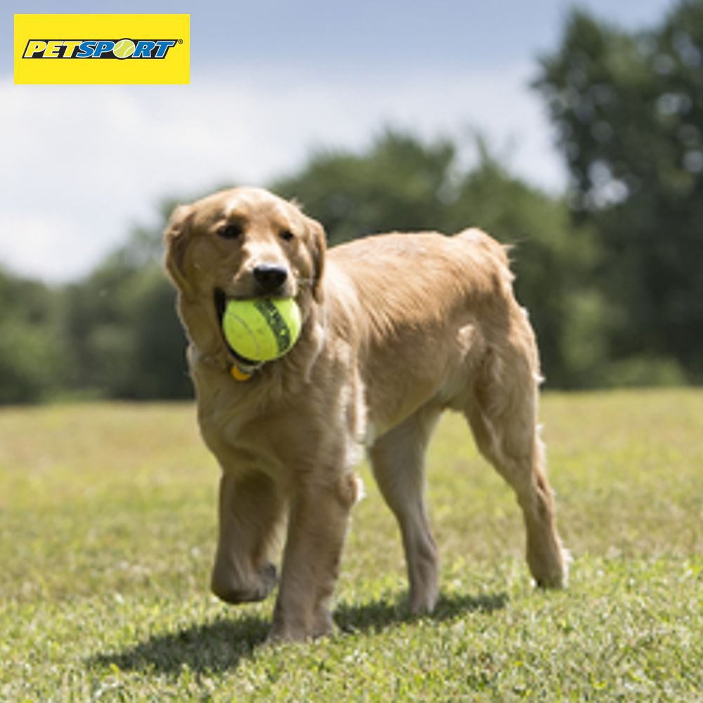 PetSport Tennisball TUFF BALL - XS/S/M/L/XL - Apportierspielzeug Hundeball