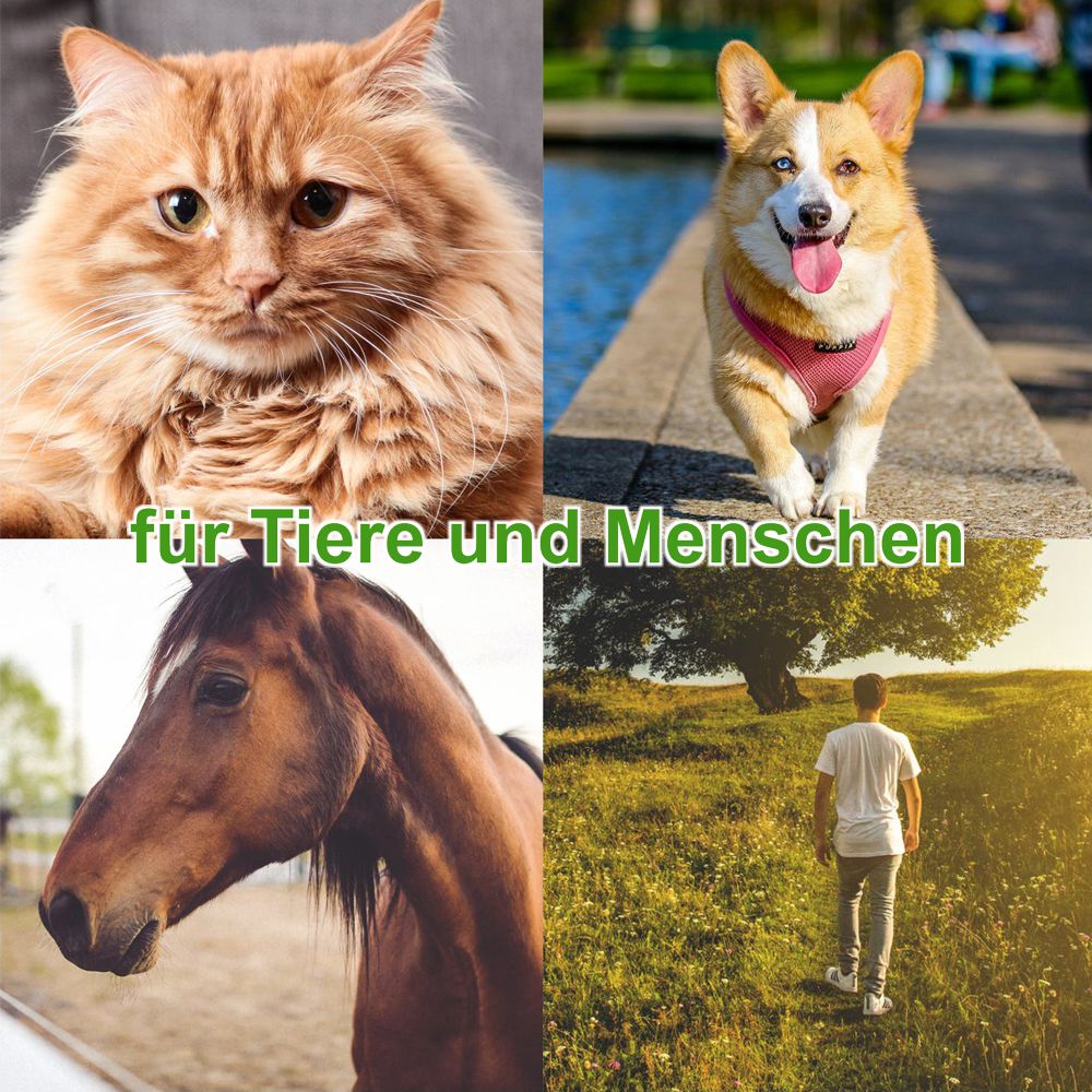 ZenPet Tick Tornado - Zeckenzange - für Hund/Katze - Kunststoff Zeckenentferner