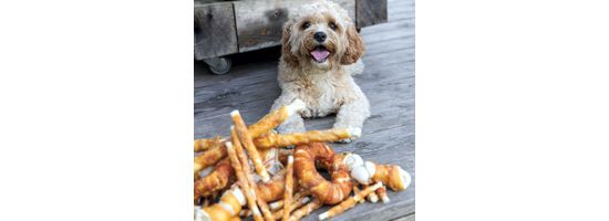 Kauartikel, Snacks & Nahrungsergänzung