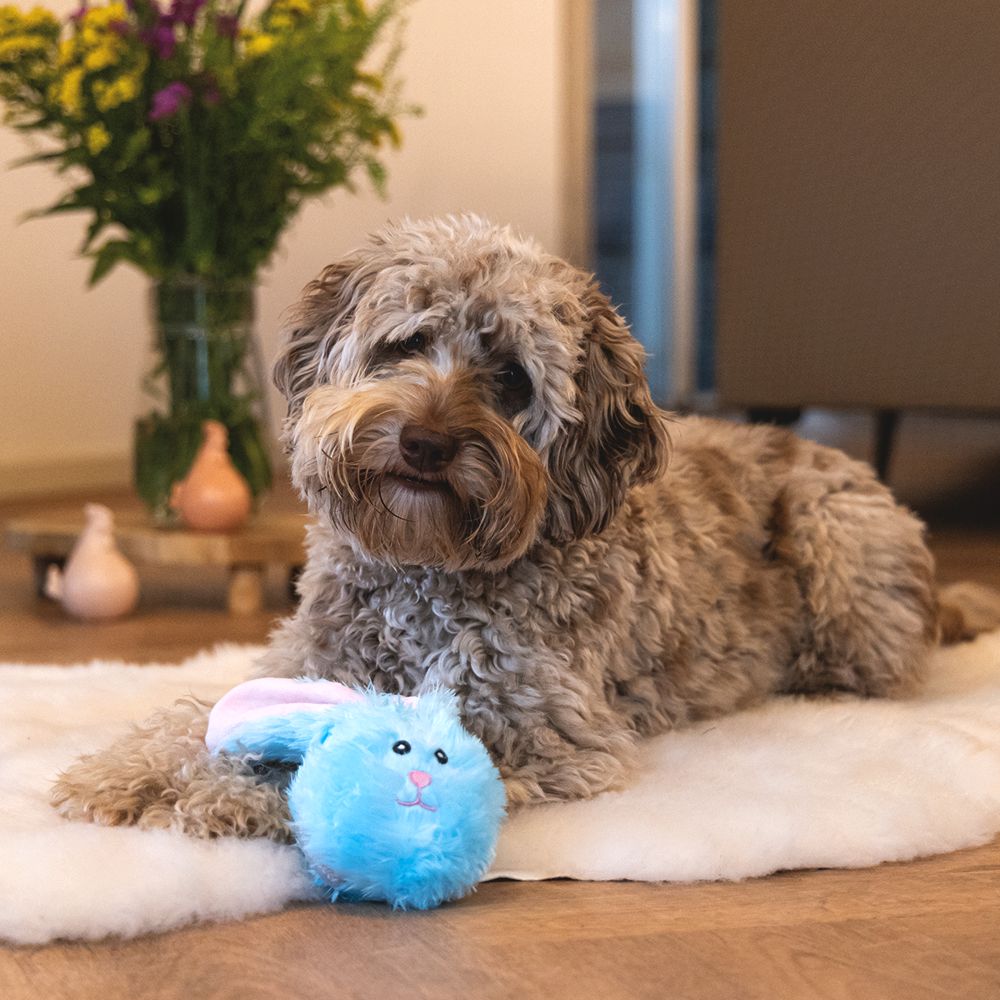 Beeztees Plüsch-Hundespielzeug Osterhase FLIP - 21 cm - Ostern Plüschspielzeug